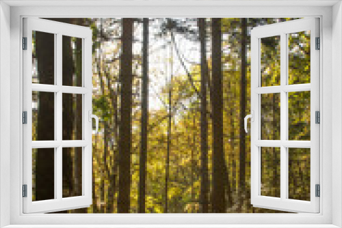 Fototapeta Naklejka Na Ścianę Okno 3D - Natura
