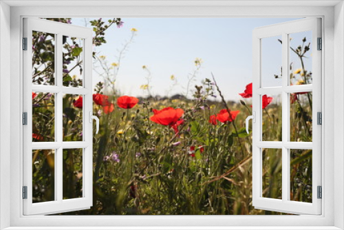 Fototapeta Naklejka Na Ścianę Okno 3D - flora y fauna silvestre