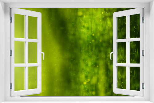 Fototapeta Naklejka Na Ścianę Okno 3D - Green Background With Bokeh. Absract warm nature color.