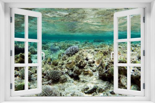 Fototapeta Naklejka Na Ścianę Okno 3D - The beautiful life of the sea