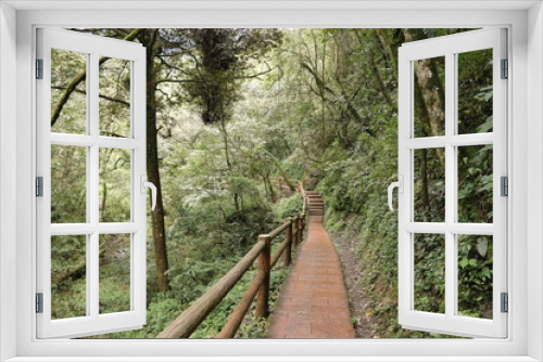 Fototapeta Naklejka Na Ścianę Okno 3D - wooden pathway near a river in a mountain forest in Sichuan, China