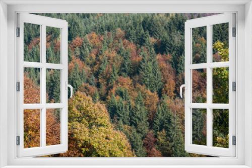 Fototapeta Naklejka Na Ścianę Okno 3D - Trees woodland forest rural countryside