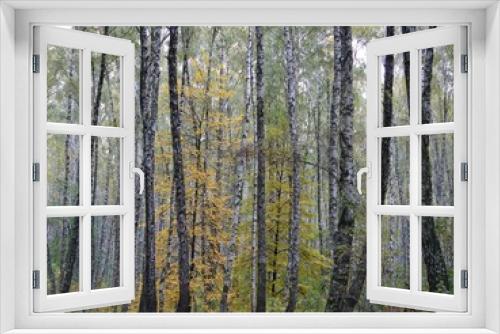 Fototapeta Naklejka Na Ścianę Okno 3D - Gorgeous Autumn