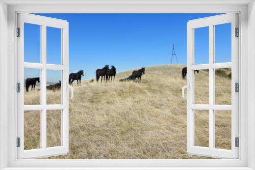 Fototapeta Naklejka Na Ścianę Okno 3D - A herd of horses resting on the hillside