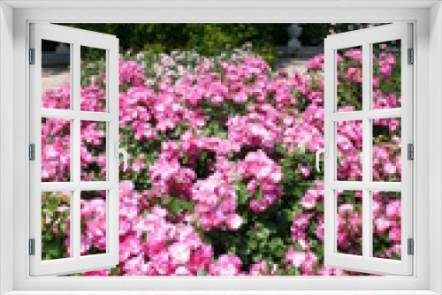 Fototapeta Naklejka Na Ścianę Okno 3D - Ramo de rosas