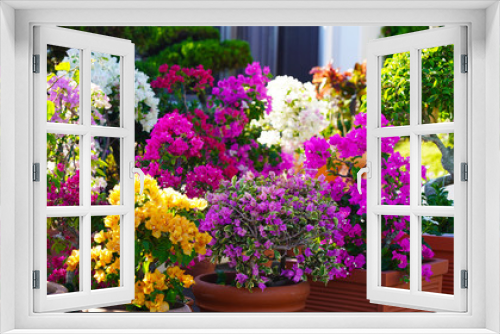 Fototapeta Naklejka Na Ścianę Okno 3D - Pink, orange, white, raspberry, yellow rhododendron flower. Flowering bushes in a pot. Bright flowers in a pot. Natural color texture. Floral background. Japanese garden