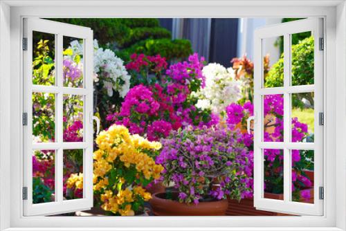 Fototapeta Naklejka Na Ścianę Okno 3D - Pink, orange, white, raspberry, yellow rhododendron flower. Flowering bushes in a pot. Bright flowers in a pot. Natural color texture. Floral background. Japanese garden