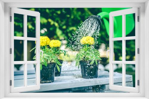 Fototapeta Naklejka Na Ścianę Okno 3D - Kwiaty w ogrodzie