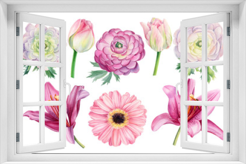 Fototapeta Naklejka Na Ścianę Okno 3D - Bouquet of watercolor flowers on an isolated background, hand drawing, pink lilies, ranunculus, tulips,  gerbera