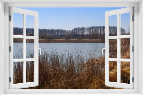 Fototapeta Naklejka Na Ścianę Okno 3D - Spring in the forest, Belovezhskaya Pushcha National Park in Belarus and Poland - the oldest forest in Europe. Nature wakes up. Nature improves while people in coronavirus isolation.