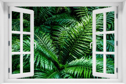 Fototapeta Naklejka Na Ścianę Okno 3D - fern leaf, lush green foliage in rainforest, nature background	

