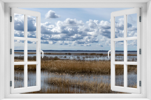 Fototapeta Naklejka Na Ścianę Okno 3D - flooded lake shore, overgrown with last year's reeds and bushes, bird migration, beautiful cumulus clouds