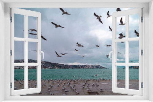 Fototapeta Naklejka Na Ścianę Okno 3D - Group of wild seagulls, which flying against blue sky. Panoramic view of Famous tourist place Tarabya with seagulls on the front, Istanbul, Turkey