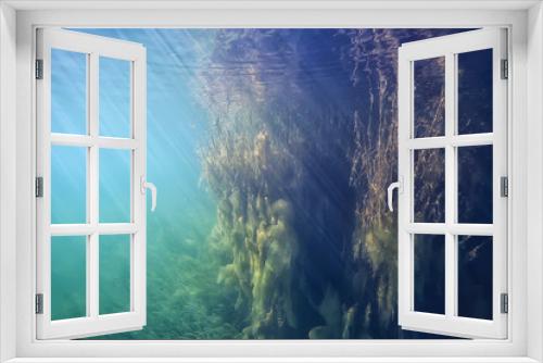 Fototapeta Naklejka Na Ścianę Okno 3D - ocean water blue background underwater rays sun / abstract blue background nature water