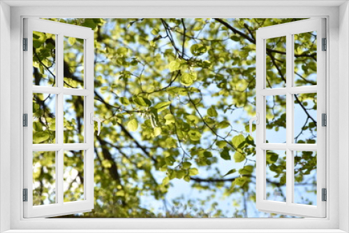 Fototapeta Naklejka Na Ścianę Okno 3D - 8Feullage
