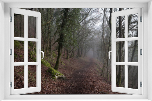 Fototapeta Naklejka Na Ścianę Okno 3D - Chemin dans les bois