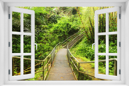 Fototapeta Naklejka Na Ścianę Okno 3D - Beautiful Hawaii Big Island nature background. Scenic landscape with boardwalk and stairs to waterfall inside the rainforest. Akaka Falls State Park, Hawaii Big Island, USA.