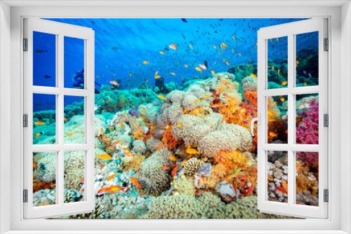 Fototapeta Naklejka Na Ścianę Okno 3D - coral reef and fish