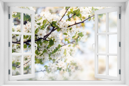 Fototapeta Naklejka Na Ścianę Okno 3D - Background of Apple tree branches with white flowers