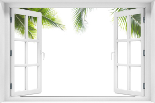 Fototapeta Naklejka Na Ścianę Okno 3D - Coconut leaf frame isolate on white background whit copy space, Summer concept.