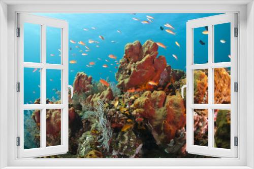 Fototapeta Naklejka Na Ścianę Okno 3D - Colorful coral reef