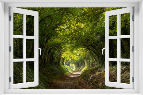 Fototapeta Naklejka Na Ścianę Okno 3D - Light at the end of the tunnel. Halnaker tree tunnel in West Sussex UK with sunlight shining in through the branches. Symbolises hope during the Coronavirus Covid-19 pandemic crisis.