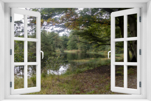 Fototapeta Naklejka Na Ścianę Okno 3D - A wide panorama of a piece of forest with a forest path just along the water