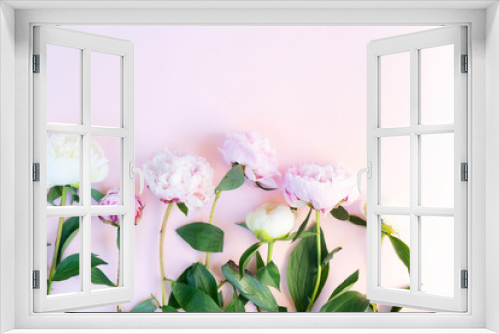 Fototapeta Naklejka Na Ścianę Okno 3D - Fresh peony flowers
