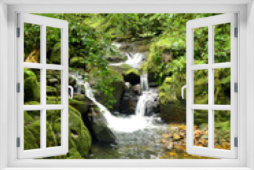 Fototapeta Naklejka Na Ścianę Okno 3D - Atlantic forest waterfall