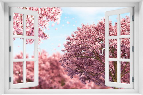 Fototapeta Naklejka Na Ścianę Okno 3D - Ornamental garden with majestically blossoming large cherry trees on a fresh green lawn