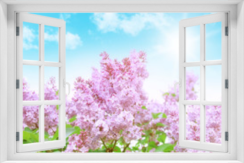 Fototapeta Naklejka Na Ścianę Okno 3D - Blue sky with sun and lilac flowers.