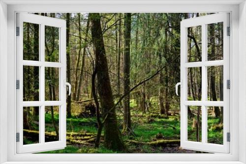Fototapeta Naklejka Na Ścianę Okno 3D - Panorama Landschaftsschutzgebiet