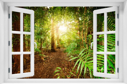 Fototapeta Naklejka Na Ścianę Okno 3D - in australian rainforest