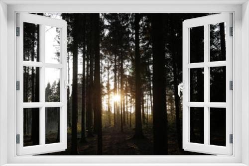 Fototapeta Naklejka Na Ścianę Okno 3D - Sunset in the forest