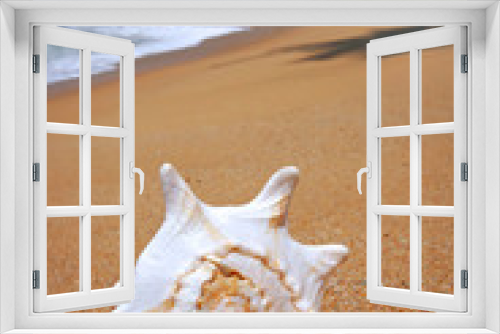 Fototapeta Naklejka Na Ścianę Okno 3D - seashell