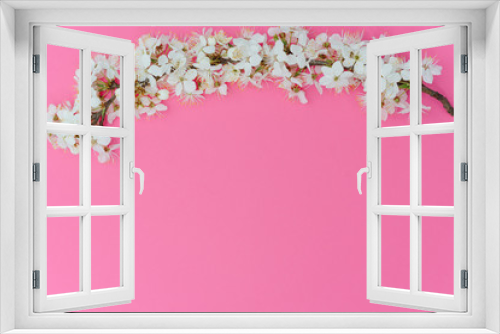 Fototapeta Naklejka Na Ścianę Okno 3D - photo of spring white cherry blossom tree on pink background. View from above, flat lay, copy space. Spring and summer background.