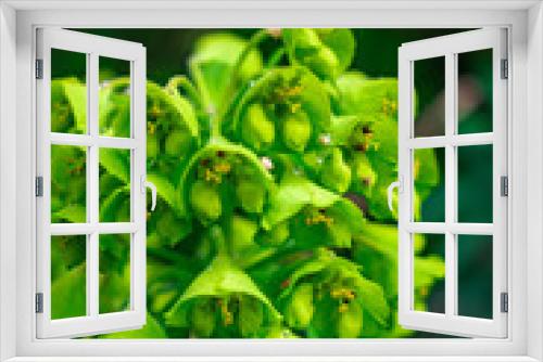 Fototapeta Naklejka Na Ścianę Okno 3D - Colors of Flowers