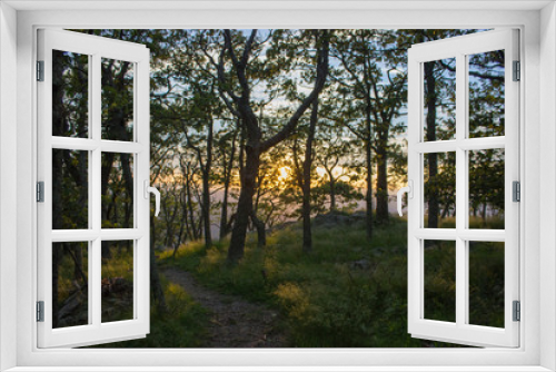 Fototapeta Naklejka Na Ścianę Okno 3D - sunset through trees at Shenandoah valley