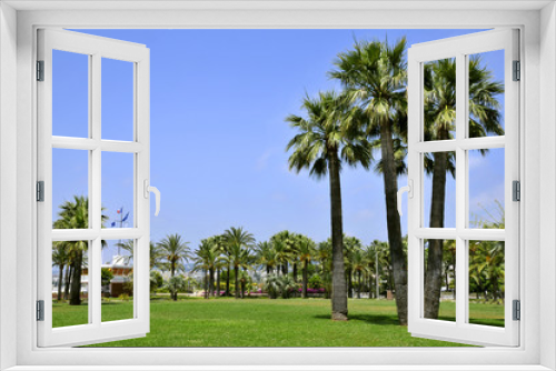 Fototapeta Naklejka Na Ścianę Okno 3D - Jardin de la promenade de la Croisette à Cannes en France