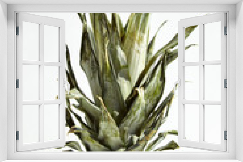 Fototapeta Naklejka Na Ścianę Okno 3D - 
Ripe juicy pineapple fruit isolated on white.