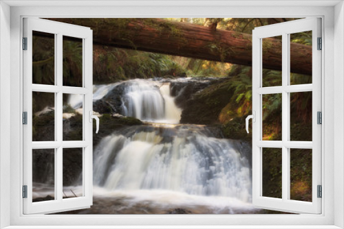 Fototapeta Naklejka Na Ścianę Okno 3D - Ludlow Falls