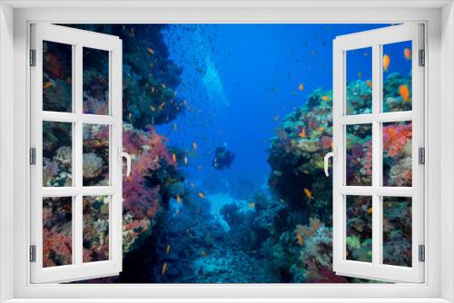 Fototapeta Naklejka Na Ścianę Okno 3D - Red Sea, Egypt - Aug 2014: woman diver explores the reef