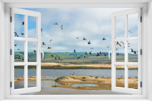 Fototapeta Naklejka Na Ścianę Okno 3D - Flock of birds on the beach. Pelicans and seagulls flying over the river. Beautiful green hills, sand dunes, and cloudy sky on background. Guadalupe-Nipomo Dunes National Wildlife Reserve, California