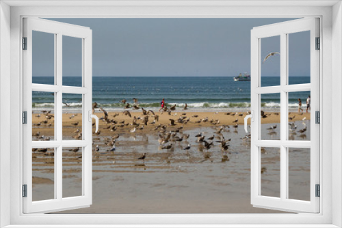 Fototapeta Naklejka Na Ścianę Okno 3D - View of the coastline in Portugal.