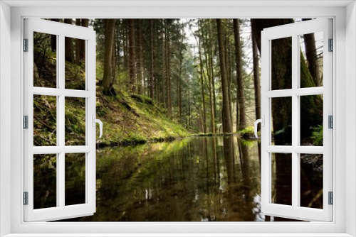 Fototapeta Naklejka Na Ścianę Okno 3D - Forest