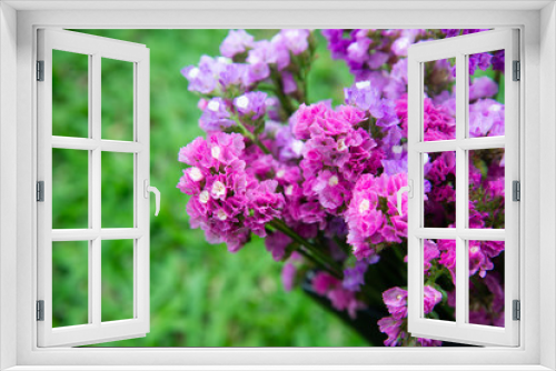 Fototapeta Naklejka Na Ścianę Okno 3D - Fuchsia dry flower