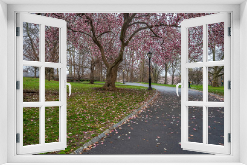 Fototapeta Naklejka Na Ścianę Okno 3D - Central Park in spring