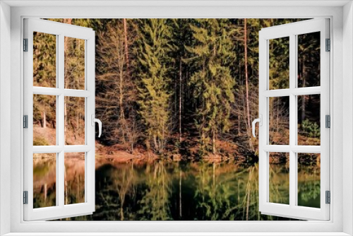 Fototapeta Naklejka Na Ścianę Okno 3D - Forest Lake
