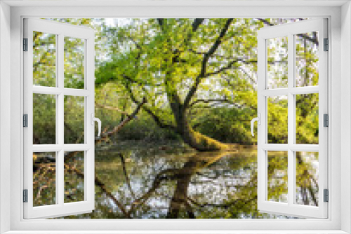 Fototapeta Naklejka Na Ścianę Okno 3D - Waldsee