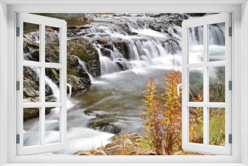 Fototapeta Naklejka Na Ścianę Okno 3D - Herbstliche Pflanze vor Wasserstufe